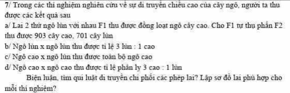 7/ Trong các thí nghiệm nghiên cứu vễ sự di truyễn chiều cao của cây ngô, người ta thu 
được các kết quả sau 
a/ Lai 2 thứ ngô lùn với nhau F1 thu được đồng loạt ngô cây cao. Cho F1 tự thụ phần F2
thu được 903 cây cao, 701 cây lùn 
b/ Ngô lùn x ngô lùn thu được tỉ lệ 3 lùn : 1 cao 
c/ Ngô cao x ngô lùn thu được toàn bộ ngô cao 
d/ Ngô cao x ngô cao thu được tỉ lệ phân ly 3 cao : 1 lùn 
Biện luận, tìm qui luật đi truyền chí phối các phép lai? Lập sơ đồ lai phù hợp cho 
mỗi thí nghiệm?