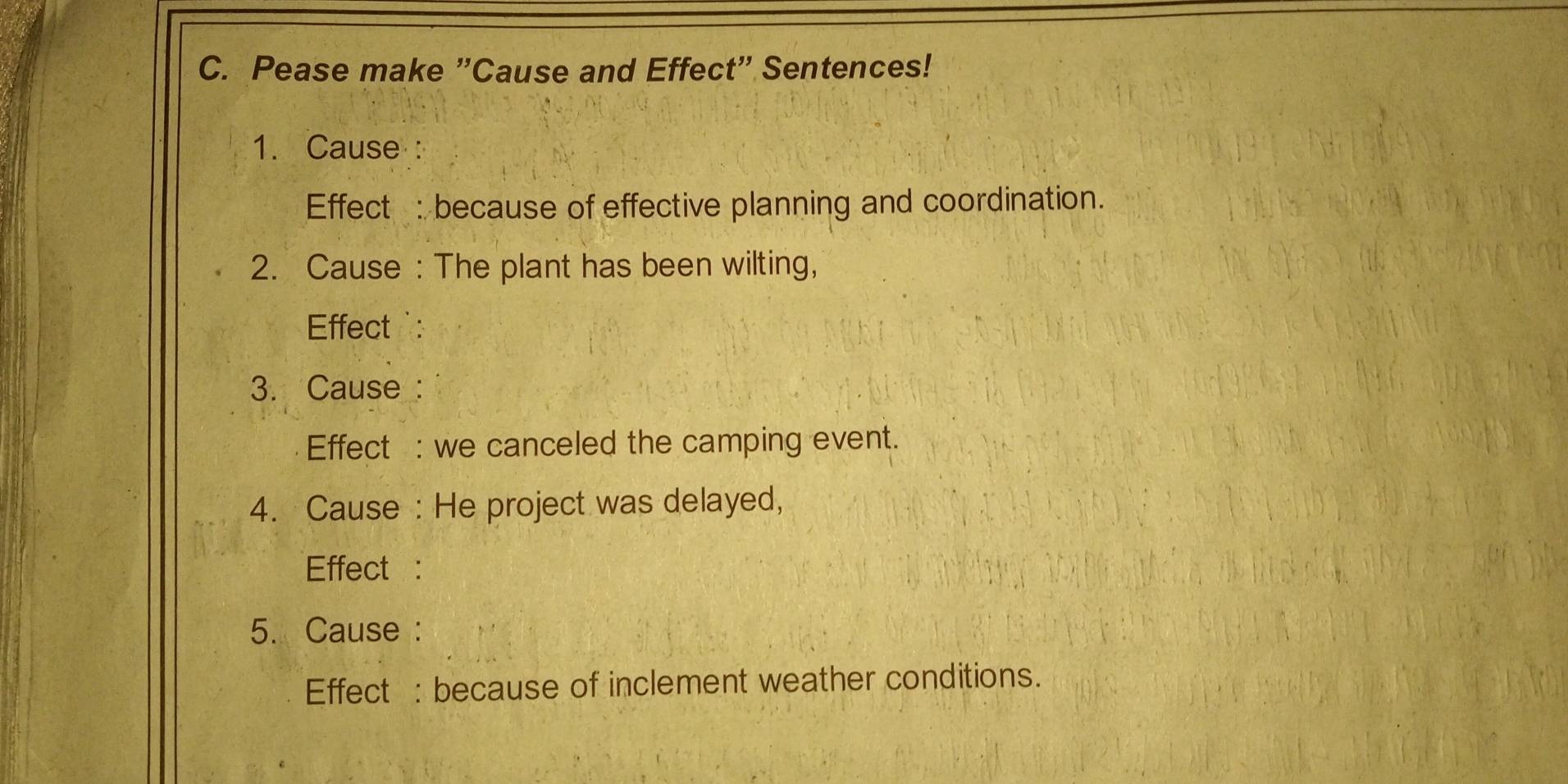 Pease make "Cause and Effect" Sentences! 
1. Cause : 
Effect : because of effective planning and coordination. 
2. Cause : The plant has been wilting, 
Effect : 
3. Cause : 
Effect : we canceled the camping event. 
4. Cause : He project was delayed, 
Effect : 
5. Cause : 
Effect : because of inclement weather conditions.