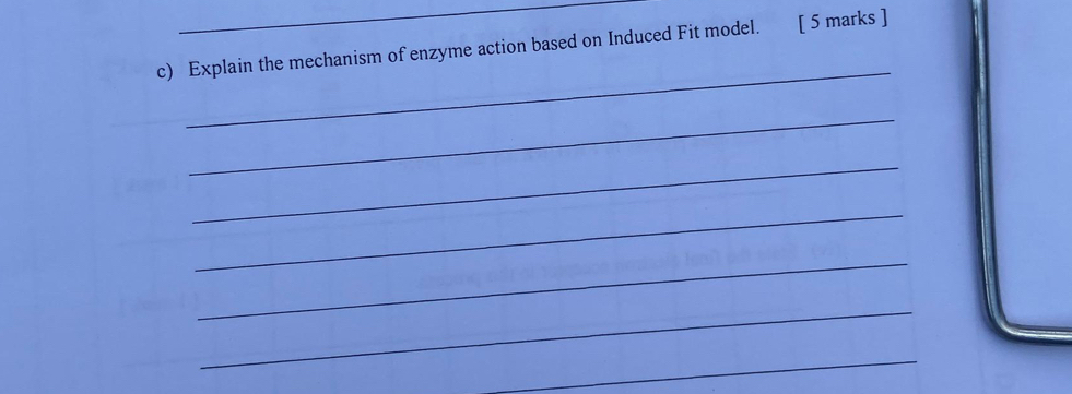 Explain the mechanism of enzyme action based on Induced Fit model. [ 5 marks ] 
_ 
_ 
_ 
_ 
_ 
_ 
_