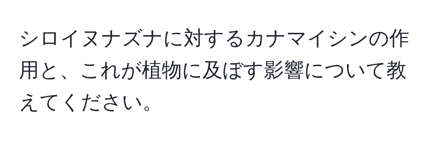 シロイヌナズナに対するカナマイシンの作用と、これが植物に及ぼす影響について教えてください。