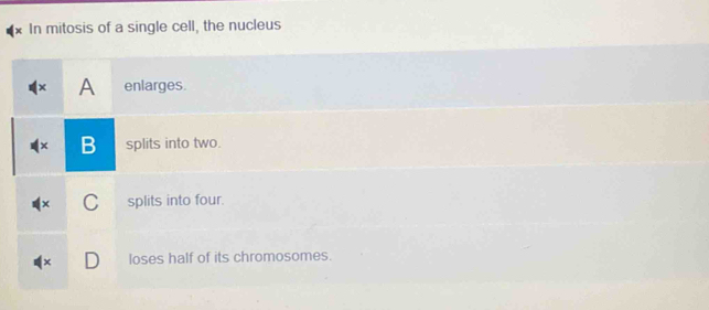 In mitosis of a single cell, the nucleus
A enlarges.
B splits into two.
C splits into four.
× D loses half of its chromosomes.