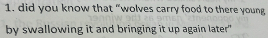 did you know that “wolves carry food to there young 
by swallowing it and bringing it up again later"