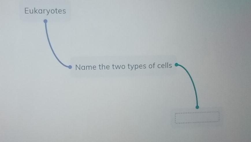 Eukaryotes 
Name the two types of cells