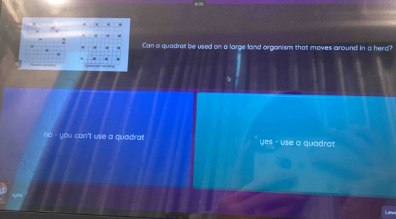 Can a quadrat be used on a large land organism that moves around in a herd?
Systematic rampling
no - you can't use a quadrat yes - use a quadrat
Lew