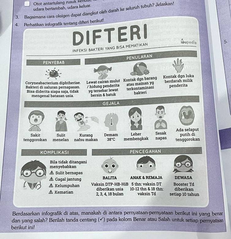 Otot antartulang rusuk kenuu 
udara bertambah, udara keluar. 
3. Bagaimana cara oksigen dapat diangkut oleh darah ke seluruh tubuh? Jelaskan! 
4. Perhatikan infografik tentang difteri berikut! 
DIFTERI 
Mupedia 5. 
INFEKSI BAKTERI YANG BISA MEMATIKAN 
PENULARAN 
PENYEBAB 
Coryneabacterium diphtheriae. Lewat cairan mulut Kontak dgn barang Kontak dgn luka 
Bakteri di saluran pernapasan. / hidung penderita atau mainan yg berdarah milik 
Bisa diderita siapa saja, tidak yg tersebar lewat terkontaminasi penderita 
mengenal batasan usia. bersin & batuk bakteri 
GEJALA 
Sakit Sulit Kurang Demam Leher Sesak Ada selaput 
tenggorokan menelan nafsu makan 38°C membengkak napas tenggorokan putih di 
KOMPLIKASI PENCEGAHAN 
Bila tidak ditangani 
menyebabkan 
▲ Sulit bernapas 
Gagal jantung BALITA ANAK & REMAJA DEWASA 
a 10 Kelumpuhan Vaksin DTP-HB-HiB 5 thn: vaksin DT Booster Td 
diberikan usia 10 - 12 thn & 18 thn: diberikan 
Kematian 2, 3, 4, 18 bulan vaksin Td setiap 10 tahun 
Berdasarkan infografik di atas, manakah di antara pernyataan-pernyataan berikut ini yang benar 
dan yang salah? Berilah tanda centang (✔) pada kolom Benar atau Salah untuk setiap pernyataan 
berikut ini!