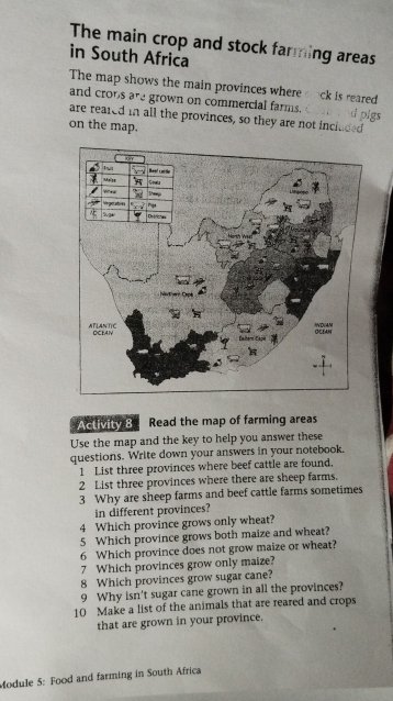 The main crop and stock farming areas 
in South Africa 
The map shows the main provinces where sock is reared 
and croos are grown on commercial farms. 
are reared in all the provinces, so they are not included d pigs 
on the map. 
Activity 8 Read the map of farming areas 
Use the map and the key to help you answer these 
questions. Write down your answers in your notebook. 
1 List three provinces where beef cattle are found, 
2 List three provinces where there are sheep farms. 
3 Why are sheep farms and beef cattle farms sometimes 
in different provinces? 
4 Which province grows only wheat? 
5 Which province grows both maize and wheat? 
6 Which province does not grow maize or wheat? 
7 Which provinces grow only maize? 
8 Which provinces grow sugar cane? 
9 Why isn't sugar cane grown in all the provinces? 
10 Make a list of the animals that are reared and crops 
that are grown in your province. 
Module 5: Food and farming in South Africa