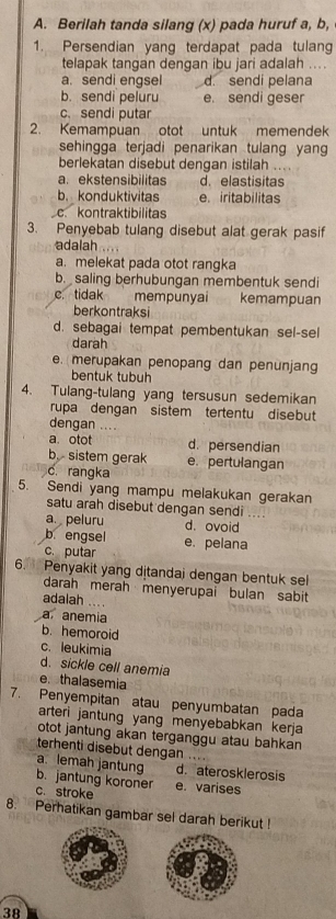 Berilah tanda silang (x) pada huruf a, b,
1. Persendian yang terdapat pada tulang
telapak tangan dengan ibu jari adalah ..
a. sendi engsel d. sendi pelana
b. sendi peluru e. sendi geser
c、 sendi putar
2. Kemampuan otot untuk memendek
sehingga terjadi penarikan tulang yang
berlekatan disebut dengan istilah . .
a. ekstensibilitas d. elastisitas
b. konduktivitas e. iritabilitas
c kontraktibilitas
3. Penyebab tulang disebut alat gerak pasif
adalah
a. melekat pada otot rangka
b. saling berhubungan membentuk sendi
c. tidak mempunyai kemampuan
berkontraksi
d. sebagai tempat pembentukan sel-sel
darah
e. merupakan penopang dan penunjang
bentuk tubuh
4. Tulang-tulang yang tersusun sedemikan
rupa dengan sistem tertentu disebut
dengan ....
a. otot d. persendian
b. sistem gerak e. pertulangan
c.rangka
5. Sendi yang mampu melakukan gerakan
satu arah disebut dengan sendi ....
a. peluru d. ovoid
b. engsel
c. putar e. pelana
6. Penyakit yang dịtandai dengan bentuk sel
darah merah menyerupai bulan sabit
adalah ....
aanemia
b. hemoroid
c. leukimia
d. sickle cell anemia
e thalasemia
7. Penyempitan atau penyumbatan pada
arteri jantung yang menyebabkan kerja 
otot jantung akan terganggu atau bahkan
terhenti disebut dengan ...
a lemah jantung d. aterosklerosis
b. jantung koroner
c. stroke e. varises
8. Perhatikan gambar sel darah berikut !
38