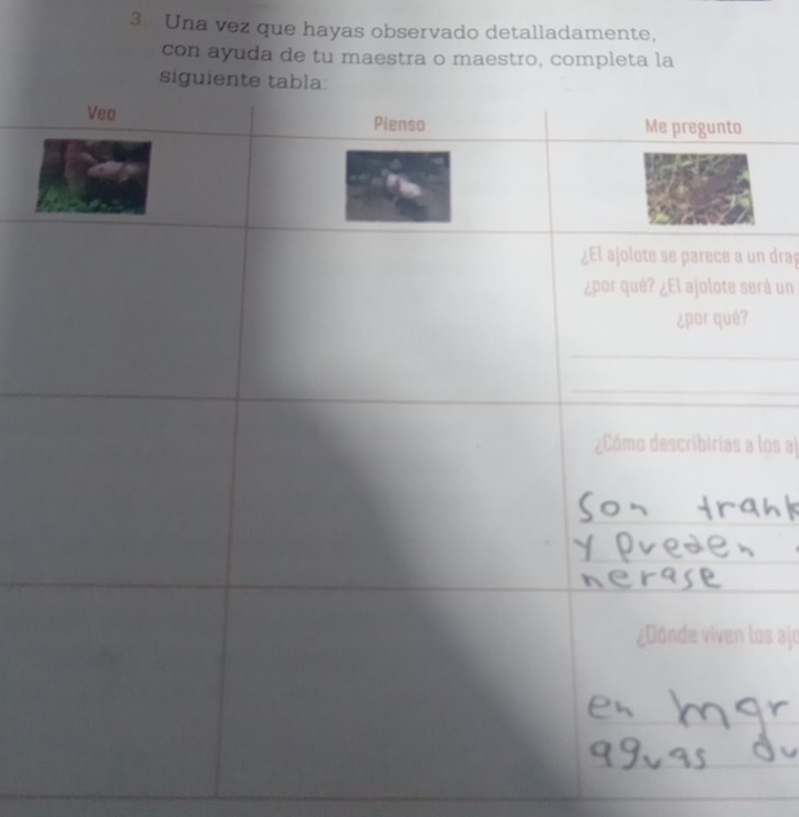 Una vez que hayas observado detalladamente, 
con ayuda de tu maestra o maestro, completa la 
n drap 
rá un 
los aj 
os ajo