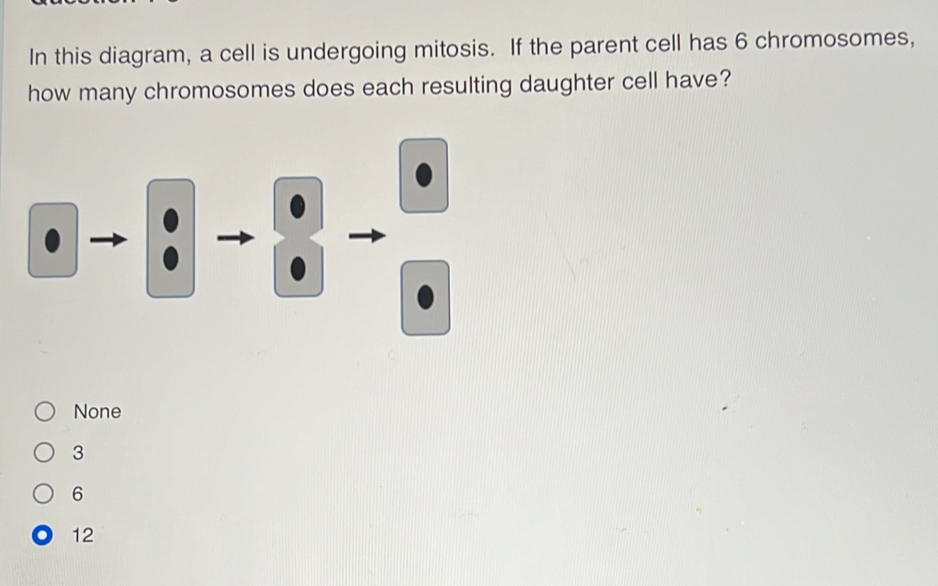 In this diagram, a cell is undergoing mitosis. If the parent cell has 6 chromosomes,
how many chromosomes does each resulting daughter cell have?
None
3
6
12