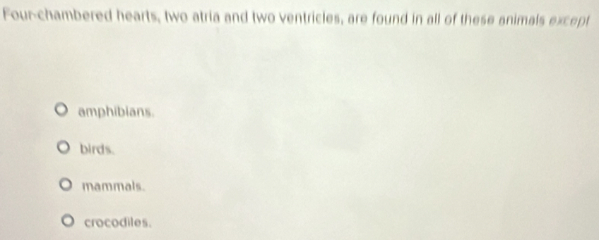 Four-chambered hearts, two atria and two ventricles, are found in all of these animals except
amphibians.
birds.
mammals.
crocodiles.