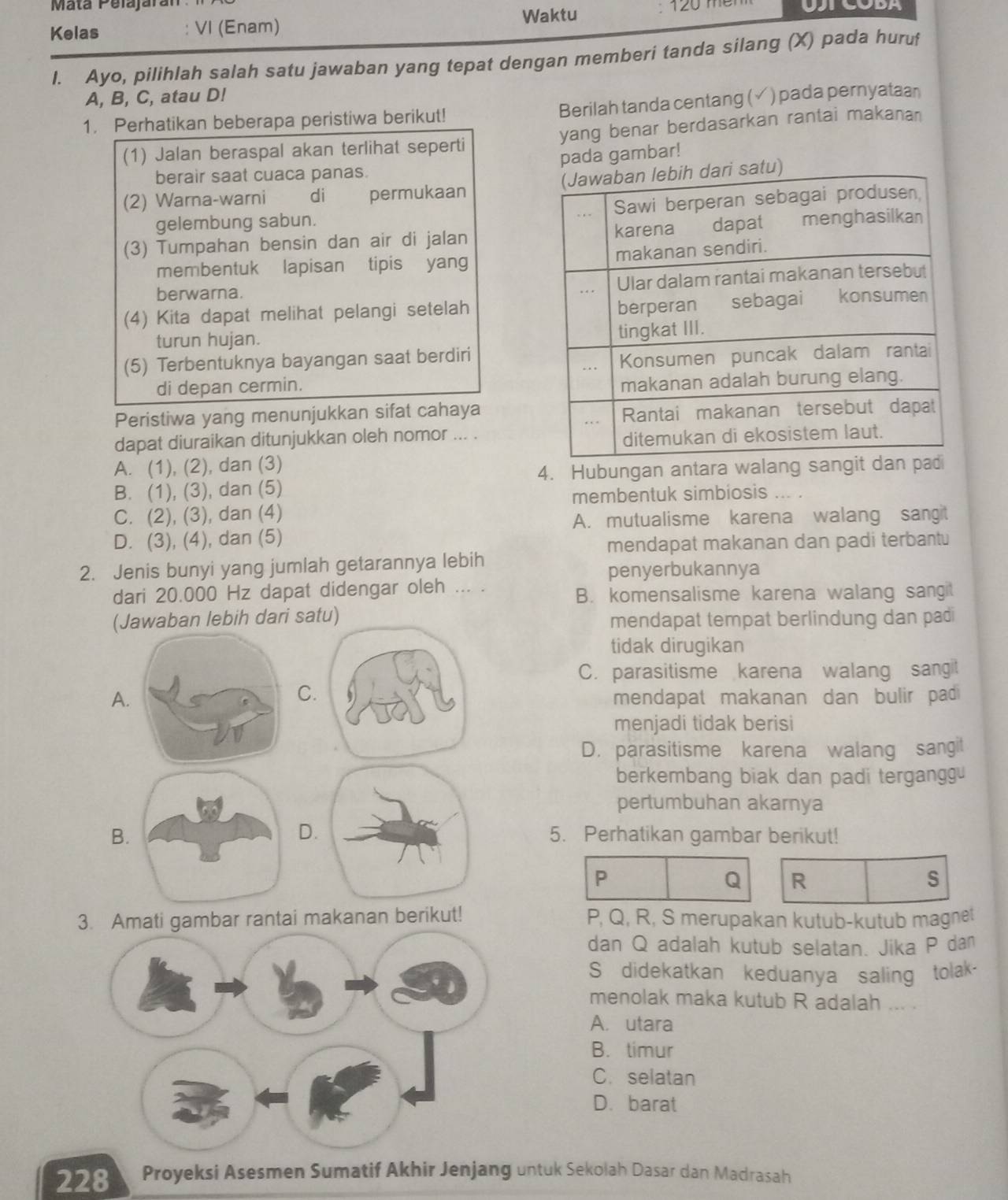 Matá Pelajarán
Kelas : VI (Enam) Waktu 120 mêm UTCODA
I. Ayo, pilihlah salah satu jawaban yang tepat dengan memberi tanda silang (X) pada huruf
A, B, C, atau D!
Berilah tanda centang (
1. Perhatikan beberapa peristiwa berikut! √) pada pernyataan
(1) Jalan beraspal akan terlihat seperti yang benar berdasarkan rantai makanan
pada gambar!
berair saat cuaca panas.
(2) Warna-warni di permukaan 
gelembung sabun. 
(3) Tumpahan bensin dan air di jalan
membentuk lapisan tipis yang
berwarna.
(4) Kita dapat melihat pelangi setelah
turun hujan. 
(5) Terbentuknya bayangan saat berdiri 
di depan cermin.
Peristiwa yang menunjukkan sifat cahaya
dapat diuraikan ditunjukkan oleh nomor ... .
A. (1), (2), dan (3)
B. (1), (3), dan (5) 4. Hubungan antara walang sa
membentuk simbiosis
C. (2), (3), dan (4)
A. mutualisme karena walang sangit
D. (3), (4), dan (5)
mendapat makanan dan padi terbantu
2. Jenis bunyi yang jumlah getarannya lebih
penyerbukannya
dari 20.000 Hz dapat didengar oleh ... . B. komensalisme karena walang sangit
(Jawaban lebih dari satu) mendapat tempat berlindung dan padi
tidak dirugikan
C. parasitisme karena walang sangit
C
A.mendapat makanan dan bulir pad 
menjadi tidak berisi
D. parasitisme karena walang sangit
berkembang biak dan padi tergangg
pertumbuhan akarnya
D.
B5. Perhatikan gambar berikut!
P
Q R
S
3. Amati gambar rantai makanan berikut! P, Q, R, S merupakan kutub-kutub magnet
dan Q adalah kutub selatan. Jika P dan
S didekatkan keduanya saling tolak-
menolak maka kutub R adalah ... .
A. utara
B. timur
C. selatan
D. barat
228 Proyeksi Asesmen Sumatif Akhir Jenjang untuk Sekolah Dasar dan Madrasah