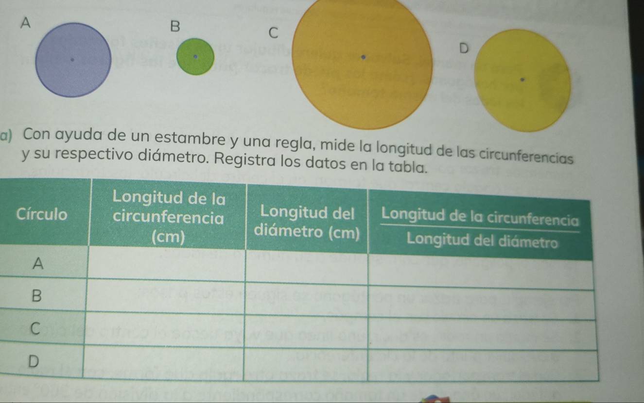 A 
B 
C 
D 
a) Con ayuda de un estambre y una e la longitud de las circunferencias 
y su respectivo diámetro. Registra los datos en la tabla.