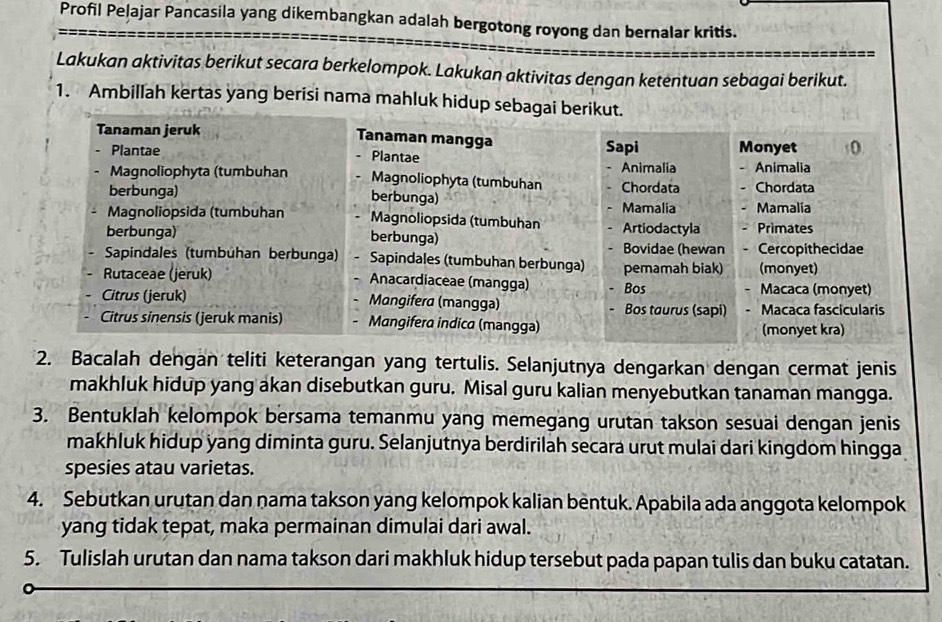 Profil Pelajar Pancasila yang dikembangkan adalah bergotong royong dan bernalar kritis.
Lakukan aktivitas berikut secara berkelompok. Lakukan aktivitas dengan ketentuan sebagai berikut.
1. Ambillah kertas yang berisi nama mahluk hidup sebagai berikut.
Tanaman jeruk Tanaman mangga
- Plantae Plantae Sapi Monyet
Animalia - Animalia
- Magnoliophyta (tumbuhan Magnoliophyta (tumbuhan Chordata Chordata
berbunga) berbunga) Mamalia
Magnoliopsida (tumbuhan Magnoliopsida (tumbuhan Mamalia Artiodactyla Primates
berbunga) berbunga) Bovidae (hewan . Cercopithecidae
Sapindales (tumbuhan berbunga) Sapindales (tumbuhan berbunga)
. Rutaceae (jeruk) Anacardiaceae (mangga) pemamah biak) (monyet)
Bos Macaca (monyet)
Citrus (jeruk) Mangifera (mangga) Bos taurus (sapi) Macaca fascicularis
Citrus sinensis (jeruk manis) Mangifera indica (mangga)
(monyet kra)
2. Bacalah dengan teliti keterangan yang tertulis. Selanjutnya dengarkan dengan cermat jenis
makhluk hidup yang akan disebutkan guru. Misal guru kalian menyebutkan tanaman mangga.
3. Bentuklah kelompok bersama temanmu yang memegang urutan takson sesuai dengan jenis
makhluk hidup yang diminta guru. Selanjutnya berdirilah secara urut mulai dari kingdom hingga
spesies atau varietas.
4. Sebutkan urutan dan nama takson yang kelompok kalian bentuk. Apabila ada anggota kelompok
yang tidak tepat, maka permainan dimulai dari awal.
5. Tulislah urutan dan nama takson dari makhluk hidup tersebut pada papan tulis dan buku catatan.