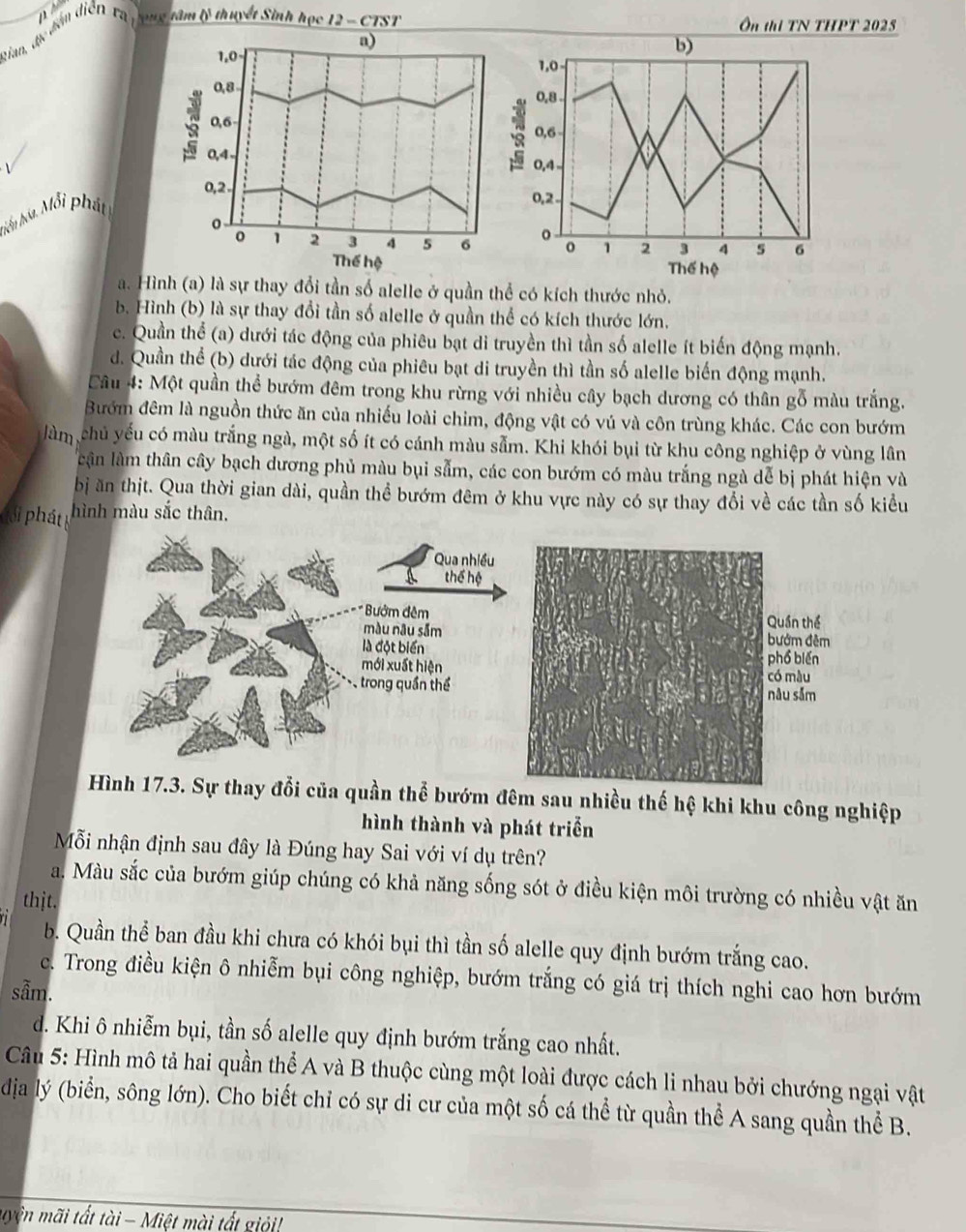 Tian, địc điễm diễn rị
ong tâm lý thuyết Sinh học 12 - CTST Ôn thi TN THPT 2025
 
 
hiểu hóa. Mỗi phát
a. Hình (a) là sự thay đổi tần số alelle ở quần thể có kích thước nhỏ.
b. Hình (b) là sự thay đổi tần số alelle ở quần thể có kích thước lớn.
c. Quần thể (a) dưới tác động của phiêu bạt di truyền thì tần số alelle ít biến động mạnh.
d. Quần thể (b) dưới tác động của phiêu bạt di truyền thì tần số alelle biến động mạnh.
Câu 4: Một quần thể bướm đêm trong khu rừng với nhiều cây bạch dương có thân gỗ màu trắng.
Bướm đêm là nguồn thức ăn của nhiếu loài chim, động vật có vú và côn trùng khác. Các con bướm
làm chủ yếu có màu trắng ngà, một số ít có cánh màu sẫm. Khi khói bụi từ khu công nghiệp ở vùng lân
cần làm thân cây bạch dương phủ màu bụi sẫm, các con bướm có màu trắng ngà dễ bị phát hiện và
bị ăn thịt. Qua thời gian dài, quần thể bướm đêm ở khu vực này có sự thay đổi về các tần số kiều
phi phát hình màu sắc thân.
Hình 17.3. Sự thay đổi của quần thể bướm đêm sau nhiều thế hệ khi khu công nghiệp
hình thành và phát triển
Mỗi nhận định sau đây là Đúng hay Sai với ví dụ trên?
a. Màu sắc của bướm giúp chúng có khả năng sống sót ở điều kiện môi trường có nhiều vật ăn
thịt.
b. Quần thể ban đầu khi chưa có khói bụi thì tần số alelle quy định bướm trắng cao.
c. Trong điều kiện ô nhiễm bụi công nghiệp, bướm trắng có giá trị thích nghi cao hơn bướm
sẫm.
d. Khi ô nhiễm bụi, tần số alelle quy định bướm trắng cao nhất.
Câu 5: Hình mô tả hai quần thể A và B thuộc cùng một loài được cách li nhau bởi chướng ngại vật
dịa lý (biển, sông lớn). Cho biết chỉ có sự di cư của một số cá thể từ quần thể A sang quần thể B.
myện mãi tất tài - Miệt mài tất giới!