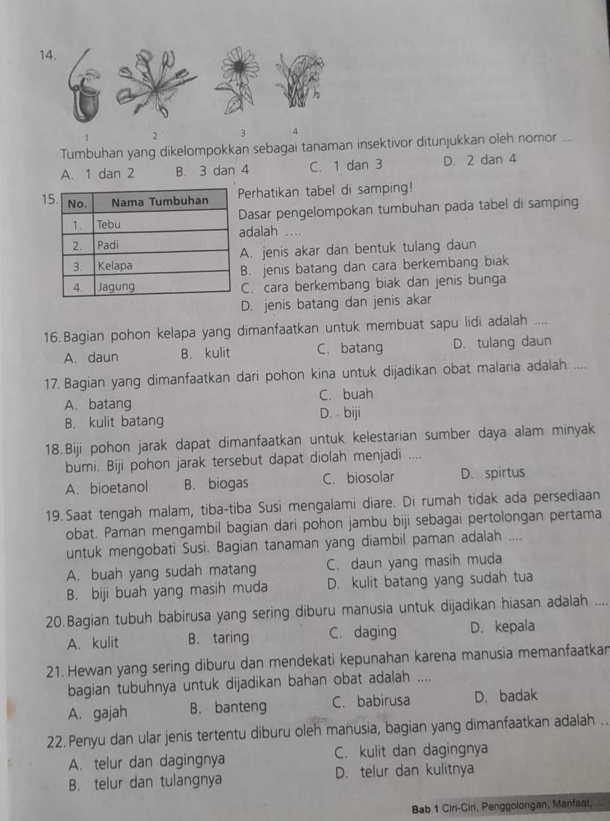 14
2
3 4
Tumbuhan yang dikelompokkan sebagai tanaman insektivor ditunjukkan oleh nomor ....
A. 1 dan 2 B. 3 dan 4 C. 1 dan 3 D. 2 dan 4
1erhatikan tabel di samping!
asar pengelompokan tumbuhan pada tabel di samping
dalah …
. jenis akar dan bentuk tulang daun
. jenis batang dan cara berkembang biak
C. cara berkembang biak dan jenis bunga
D. jenis batang dan jenis akar
16.Bagian pohon kelapa yang dimanfaatkan untuk membuat sapu lidi adalah …_
A. daun B. kulit C. batang D. tulang daun
17. Bagian yang dimanfaatkan dari pohon kina untuk dijadikan obat malaria adalah ....
C. buah
A. batang D. biji
B. kulit batang
18.Biji pohon jarak dapat dimanfaatkan untuk kelestarian sumber daya alam minyak
bumi. Biji pohon jarak tersebut dapat diolah menjadi ....
A. bioetanol B. biogas C. biosolar D. spirtus
19.Saat tengah malam, tiba-tiba Susi mengalami diare. Di rumah tidak ada persediaan
obat. Paman mengambil bagian dari pohon jambu biji sebagai pertolongan pertama
untuk mengobati Susi. Bagian tanaman yang diambil paman adalah ....
A. buah yang sudah matang C. daun yang masih muda
B. biji buah yang masih muda D. kulit batang yang sudah tua
20.Bagian tubuh babirusa yang sering diburu manusia untuk dijadikan hiasan adalah ....
A. kulit B. taring C. daging D. kepala
21. Hewan yang sering diburu dan mendekati kepunahan karena manusia memanfaatkan
bagian tubuhnya untuk dijadikan bahan obat adalah ....
A. gajah B. banteng C. babirusa D. badak
22. Penyu dan ular jenis tertentu diburu oleh manusia, bagian yang dimanfaatkan adalah ..
C. kulit dan dagingnya
A. telur dan dagingnya
B. telur dan tulangnya D. telur dan kulitnya
Bab 1 Ciri-Ciri, Penggolongan, Manfaat,