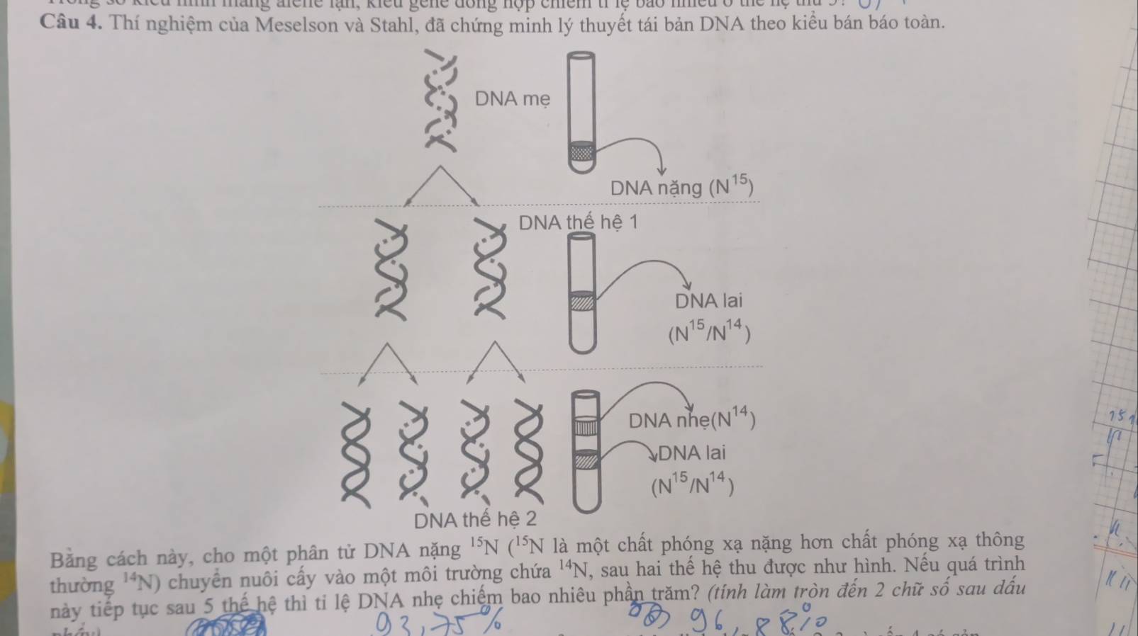 mang ale n e lan  ,  kie u      n e  dong nộp chem t le  bao nn e d o  t 
Câu 4. Thí nghiệm của Meselson và Stahl, đã chứng minh lý thuyết tái bản DNA theo kiểu bán báo toàn.
Bằng cách này, cho một phân tử DNA nặng^(15)N(^15N là một chất phóng xạ nặng hơn chất phóng xạ thông
thường^(14)N) chuyển nuôi cấy vào một môi trường chứa^(14)N , sau hai thể hệ thu được như hình. Nếu quá trình
này tiếp tục sau 5 thế hệ thì tỉ lệ DNA nhẹ chiếm bao nhiêu phần trăm? (tính làm tròn đến 2 chữ số sau dầu