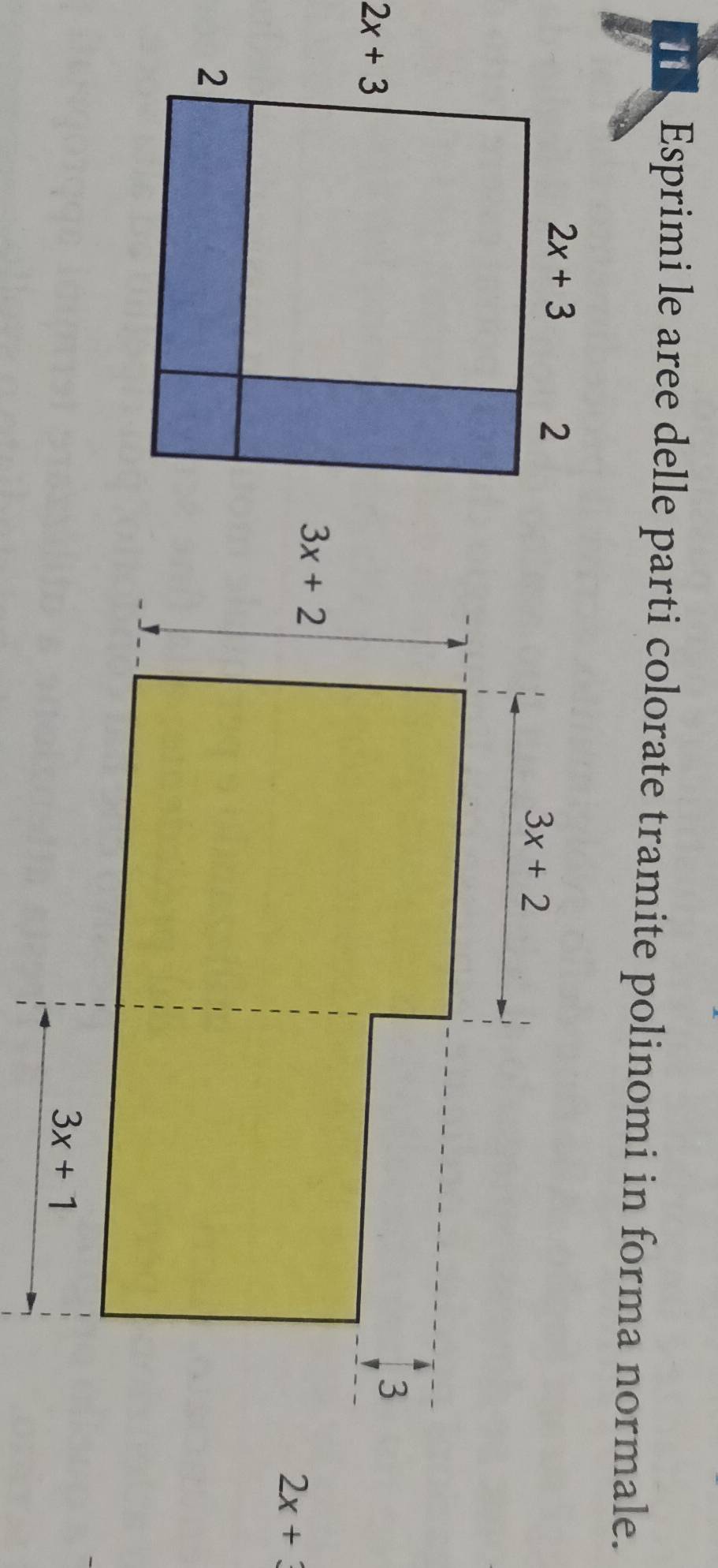 Esprimi le aree delle parti colorate tramite polinomi in forma normale.
2x+3