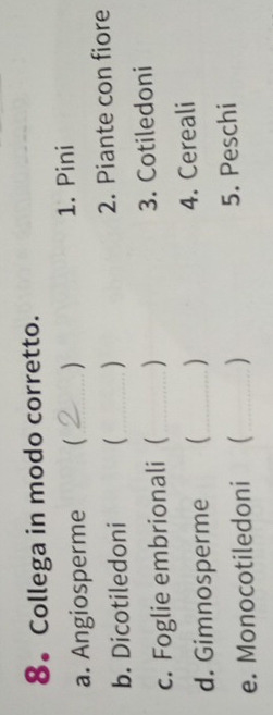 8。 Collega in modo corretto. 
 
a. Angiosperme _1. Pini 
b. Dicotiledoni _ 2. Piante con fiore 
c. Foglie embrionali (_ ) 3. Cotiledoni 
) 
d. Gimnosperme _4. Cereali 
e. Monocotiledoni _ ) 5. Peschi