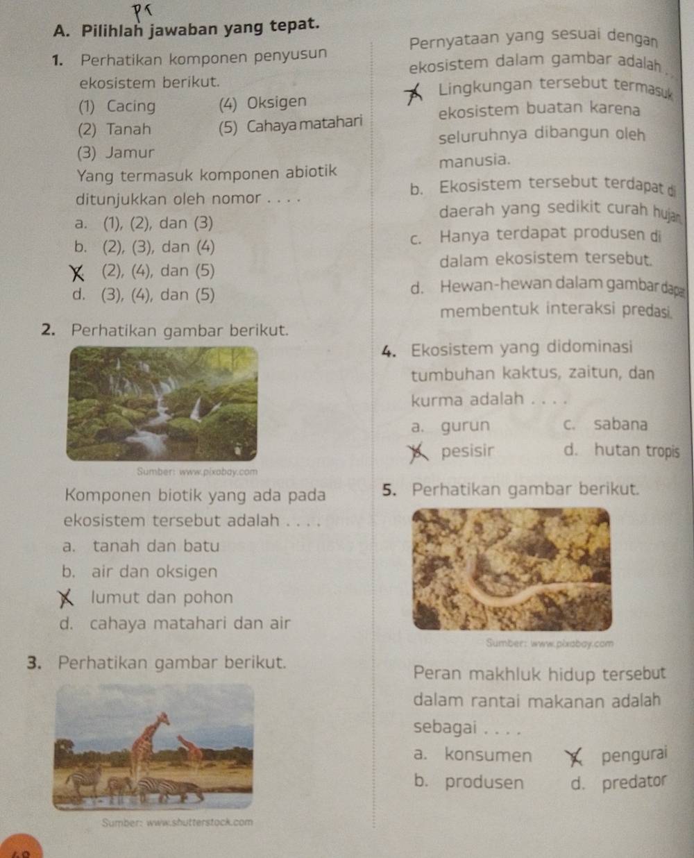 Pilihlah jawaban yang tepat.
Pernyataan yang sesuai dengan
1. Perhatikan komponen penyusun ekosistem dalam gambar adalah .
ekosistem berikut. Lingkungan tersebut termasuk
(1) Cacing (4) Oksigen
ekosistem buatan karena
(2) Tanah (5) Cahaya matahari
seluruhnya dibangun oleh
(3) Jamur
Yang termasuk komponen abiotik manusia.
b. Ekosistem tersebut terdapat d
ditunjukkan oleh nomor . . . . daerah yang sedikit curah hujan.
a. (1), (2), dan (3)
b. (2), (3), dan (4)
c. Hanya terdapat produsen di
dalam ekosistem tersebut.
(2), (4), dan (5)
d. (3), (4), dan (5)
d. Hewan-hewan dalam gambar dap
membentuk interaksi predasi.
2. Perhatikan gambar berikut.
4. Ekosistem yang didominasi
tumbuhan kaktus, zaitun, dan
kurma adalah . . . .
a. gurun c. sabana
pesisir d. hutan tropis
Sumber: www.pixobay.com
Komponen biotik yang ada pada 5. Perhatikan gambar berikut.
ekosistem tersebut adalah . . . .
a. tanah dan batu
b. air dan oksigen
lumut dan pohon
d. cahaya matahari dan air
Sumber: www.pixabay.com
3. Perhatikan gambar berikut.
Peran makhluk hidup tersebut
dalam rantai makanan adalah
sebagai . . . .
a. konsumen pengurai
b. produsen d. predator
Sumber: www.shutterstock.com
1o