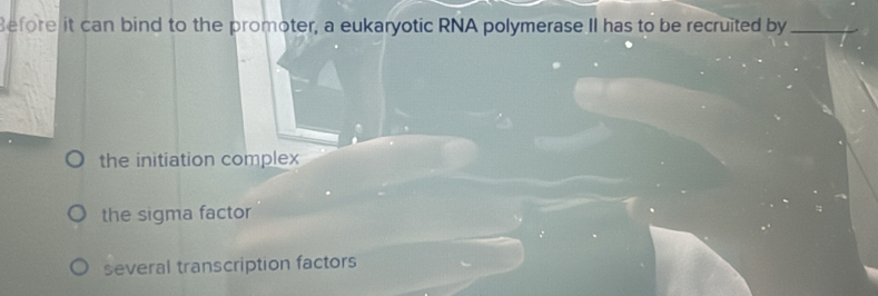 efore it can bind to the promoter, a eukaryotic RNA polymerase II has to be recruited by_
the initiation complex
the sigma factor
several transcription factors