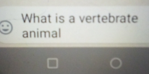 What is a vertebrate 
animal