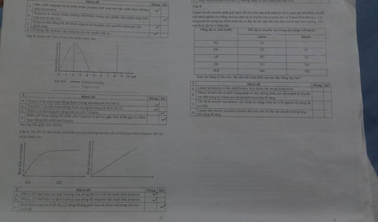 Mệnh đề Đùng Sal
Bản chất enzyme là protein hoặc protein kết hợp với các chất khác không Câu 8.
phải là protem  Lipase là một enzyme phân giải lipid. Để tìm hiểu bản chất phân từ của Lipase các nhà khoa oọc đã
b. Enzyme là thành phần không thể thiếu trong sản phẩm của phản ứng sinh tiên hành nghiên cứu bằng cách so sánh sự di chuyển của enzyme này và Etanol theo thời gian vào
hóa mà no xúc tác
trong một túi màng bản thầm nhân tạo có đầy đú các loại cầu trúc như một tế báo bình thường. Kết
Enzyme làm tăng tốc độ phản ứng và sẽ bị phần hủy sau khi tham gia vào
phán ứng
d.   Ở động vật và thực vật, enzyme do các tuyên tiết ra
Cầu 5. Quan sát hình và xét  
 
Mệnh đề
Y
_
ậ  Lipase là enzyme có bản chất Protein, kích thước lớn và tan trong nước Đúng | Sai
Etanol là một chất có khối lượng phản tử nhỏ, không phần cực nên etanol di chuyên
b
Y Mênh đề Đúng Sa vào bên trong tui màng qua lớp phospholipid kép dễ dảng
Tốc độ đi chuyển của ethanol vào trong túi mâng nhân tạo ti lệ nghịch với nóng độ
a. / Pepsin ở da dày hoạt động được trong khoảng pH tử 0 tới S cơ chát.
C.
.  Trypsin ở đạ dày hoạt động được trong khoảng pH từ 6 tới 10
c.  Pepsin có khoảng pH rộng hơn so với Trypsin d. Lipase vận chuyên qua kênh protein đặc hiệu nên tốc độ vận chuyên không tăng
khi nòng độ tāng
Điểm pH hoạt động tốt nhất của Trypsin có giá trị gấp hơn 4 lần giá trị điểm
d hoạt động tốt nhất của Pepsin.
Huơng dẫn giải: Đọc đồ thị
Câu 6. Hai đồ thị bên dưới thể hiện sự ảnh nưởng của hai yếu tổ lên hoạt tỉnh enzyme. Xét các
nhận định sau
(1) (2)
Y Mệnh đề Đúng  Sai
a Đồ thị (1) thể hiện sự ảnh hưởng của nông độ cơ chất lên hoạt tính enzyme
b. Đồ thị (2) thế hiện sự ảnh hưởng của nòng độ enzyme lên hoạt tính enzyme.
c.  Hoạt tính enzyme ở đồ thị (2) tăng không giới hạn do được bố sung liên tục
ở cht
15