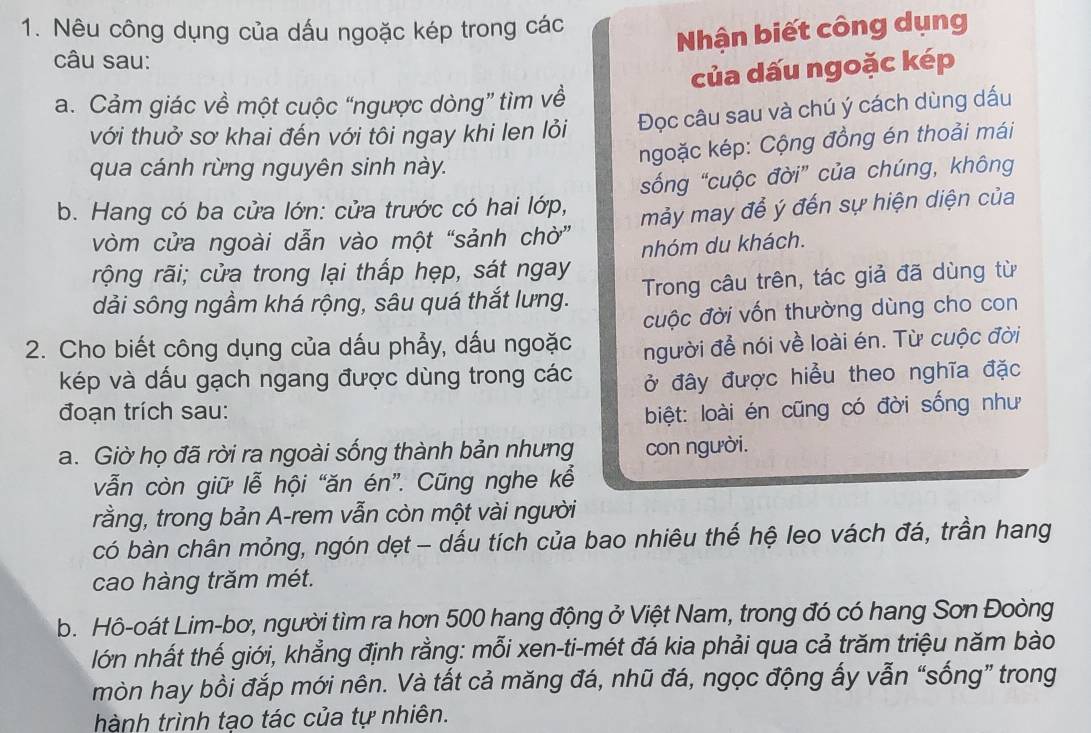 Nêu công dụng của dấu ngoặc kép trong các
Nhận biết công dụng
câu sau:
của dấu ngoặc kép
a. Cảm giác về một cuộc “ngược dòng” tìm về
với thuở sơ khai đến với tôi ngay khi len lỏi Đọc câu sau và chú ý cách dùng dấu
qua cánh rừng nguyên sinh này.
ngoặc kép: Cộng đồng én thoải mái
b. Hang có ba cửa lớn: cửa trước có hai lớp, sống “cuộc đời” của chúng, không
vòm cửa ngoài dẫn vào một “sảnh chờ” mảy may để ý đến sự hiện diện của
rộng rãi; cửa trong lại thấp hẹp, sát ngay nhóm du khách.
dải sông ngầm khá rộng, sâu quá thắt lưng. Trong câu trên, tác giả đã dùng từ
cuộc đời vốn thường dùng cho con
2. Cho biết công dụng của dấu phẩy, dấu ngoặc người để nói về loài én. Từ cuộc đời
kép và dấu gạch ngang được dùng trong các ở đây được hiểu theo nghĩa đặc
đoạn trích sau: biệt: loài én cũng có đời sống như
a. Giờ họ đã rời ra ngoài sống thành bản nhưng con người.
vẫn còn giữ lễ hội “ăn én”. Cũng nghe kể
rằng, trong bản A-rem vẫn còn một vài người
có bàn chân mỏng, ngón dẹt - dấu tích của bao nhiêu thế hệ leo vách đá, trần hang
cao hàng trăm mét.
b. Hô-oát Lim-bơ, người tìm ra hơn 500 hang động ở Việt Nam, trong đó có hang Sơn Đoòng
lớn nhất thế giới, khẳng định rằng: mỗi xen-ti-mét đá kia phải qua cả trăm triệu năm bào
mòn hay bồi đắp mới nên. Và tất cả măng đá, nhũ đá, ngọc động ấy vẫn “sống” trong
hành trình tạo tác của tự nhiên.