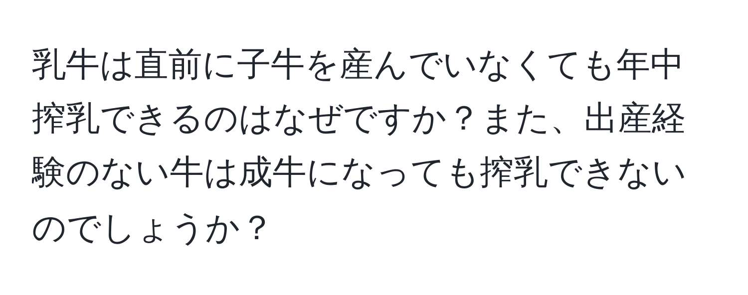 乳牛は直前に子牛を産んでいなくても年中搾乳できるのはなぜですか？また、出産経験のない牛は成牛になっても搾乳できないのでしょうか？