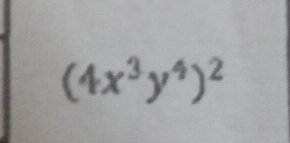 (4x^3y^4)^2