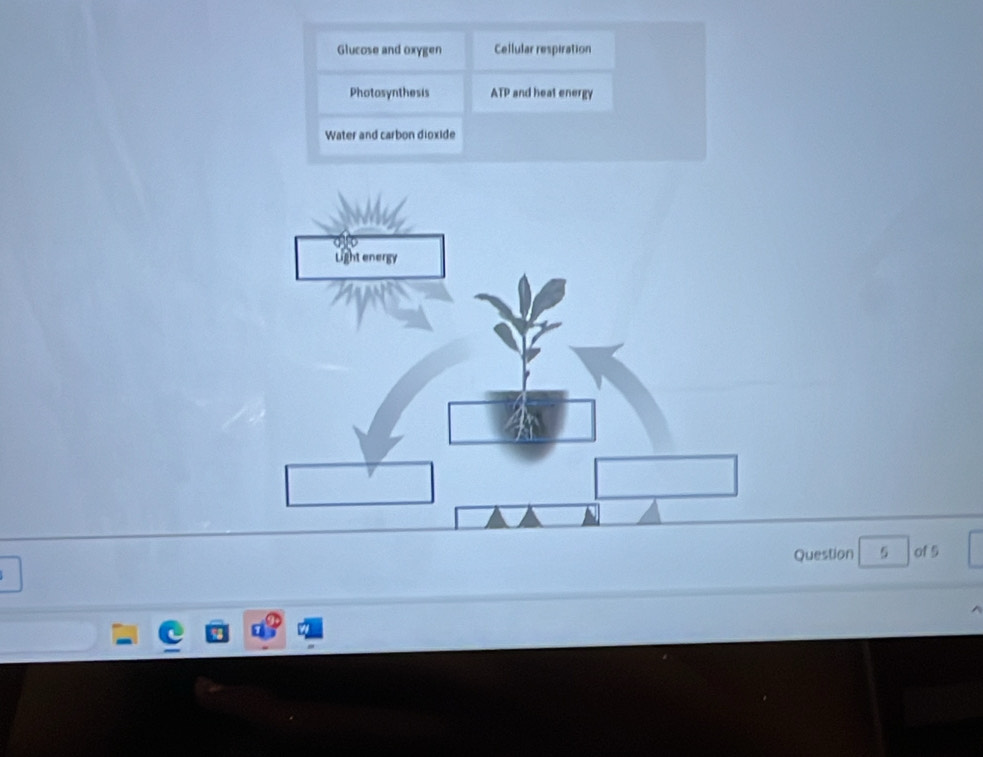 Glucose and oxygen Cellular respiration 
Photosynthesis ATP and heat energy 
Water and carbon dioxide 
Question of 5