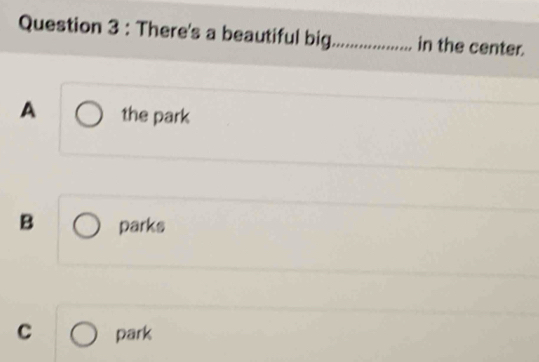 There's a beautiful big_ in the center.
A the park
B parks
C park