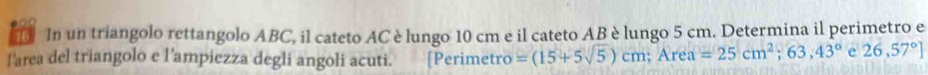 In un triangolo rettangolo ABC, il cateto AC è lungo 10 cm e il cateto AB è lungo 5 cm. Determina il perimetro e 
l'area del triangolo e l’ampiezza degli angoli acuti. [Perimetro =(15+5sqrt(5))cm; Area=25cm^2; 63,43° e 26,57°]