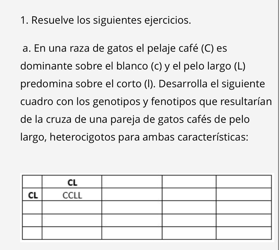 Resuelve los siguientes ejercicios. 
a. En una raza de gatos el pelaje café (C) es 
dominante sobre el blanco (c) y el pelo largo (L) 
predomina sobre el corto (l). Desarrolla el siguiente 
cuadro con los genotipos y fenotipos que resultarían 
de la cruza de una pareja de gatos cafés de pelo 
largo, heterocigotos para ambas características: