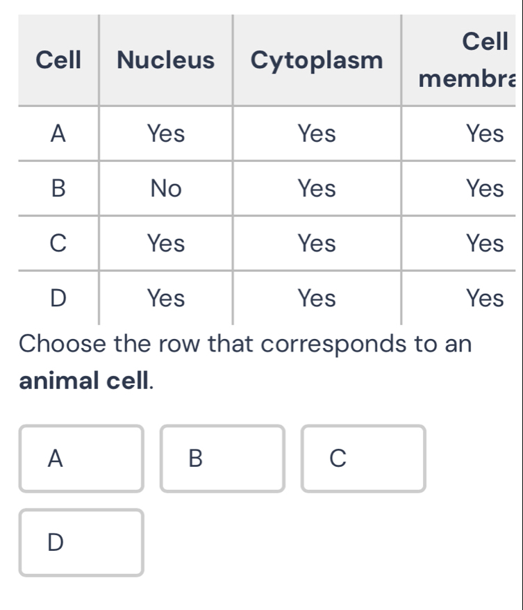 a
animal cell.
A
B
C
D