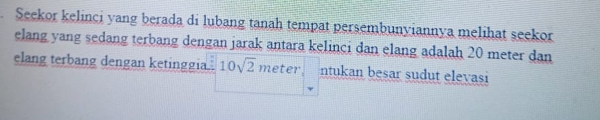 Seekor kelinci yang berada di lubang tanah tempat persembunyiannya melihat seekor 
elang yang sedang terbang dengan jarak antara kelinci dan elang adalah 20 meter dan 
elang terbang dengan ketinggia 10sqrt(2) meter. ntukan besar sudut elevasi