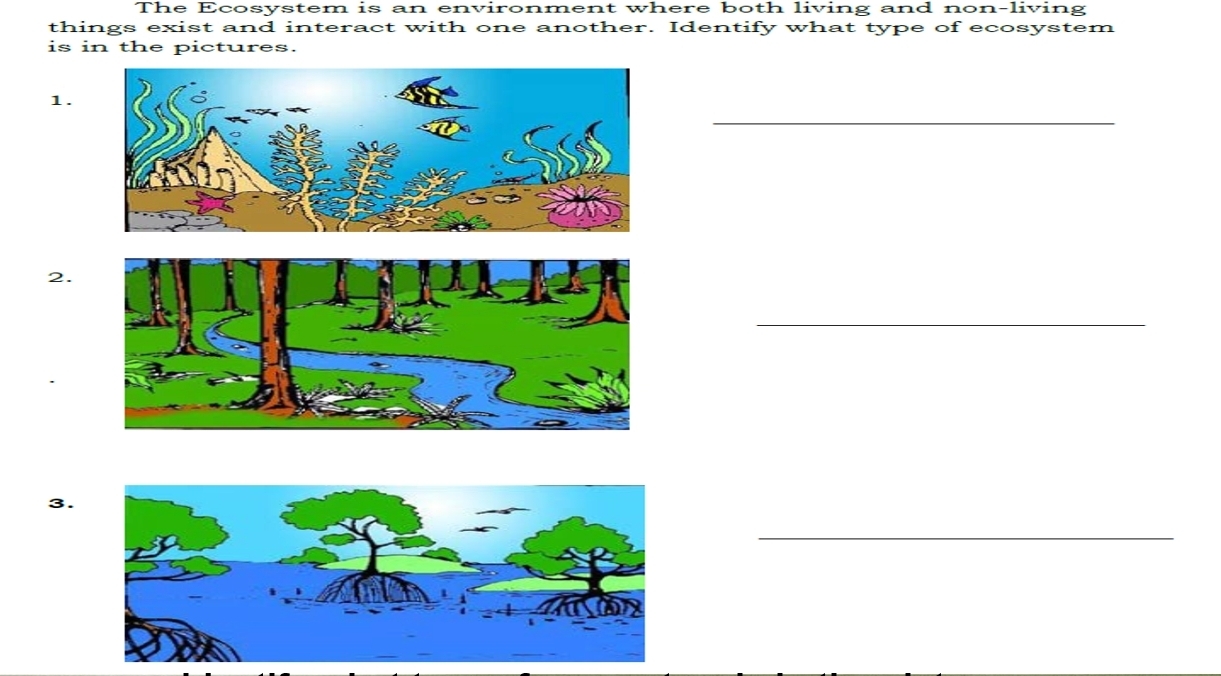 Solved: The Ecosystem is an environment where both living and non ...