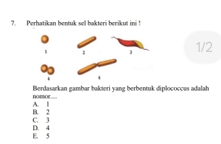 Perhatikan bentuk sel bakteri berikut ini !
1
3 1/2
Berdasarkan gambar bakteri yang berbentuk diplococcus adalah
nomor....
A. 1
B. 2
C. 3
D. 4
E. 5