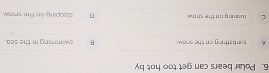 Polar bears can get too hot by
A sunbathing on the snow. B swimming in the sea.
C running on the snow. D sleeping on the snow.