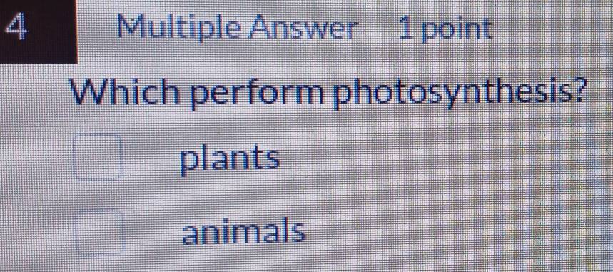 Multiple Answer 1 point
Which perform photosynthesis?
plants
animals