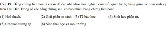 Bằng chứng tiến hoá là cơ sở để các nhà khoa học nghiên cứu mối quan hệ họ hàng giữa các loài sinh vậ
Trên Trái Đất. Trong số các bằng chứng sau, có bao nhiêu bằng chứng tiến hoá?
(1) Hoá thạch. (2) Giải phẫu so sánh. (3) Tế bào học. (4) Sinh học phân tử.
(5) Cơ quan tương tự. (6) Sinh thái học và môi trường.