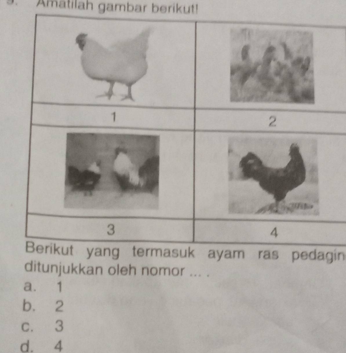 Amatilah gambar berikut!
in
ditunjukkan oleh nomor ... .
a. 1
b. 2
c. 3
d. 4