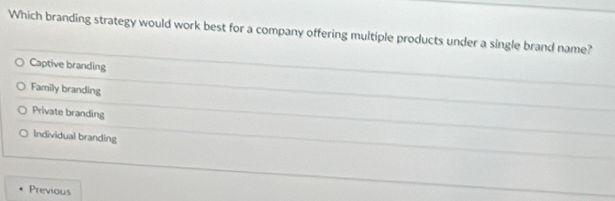 Which branding strategy would work best for a company offering multiple products under a single brand name?
Captive branding
Family branding
Private branding
Individual branding
Previous