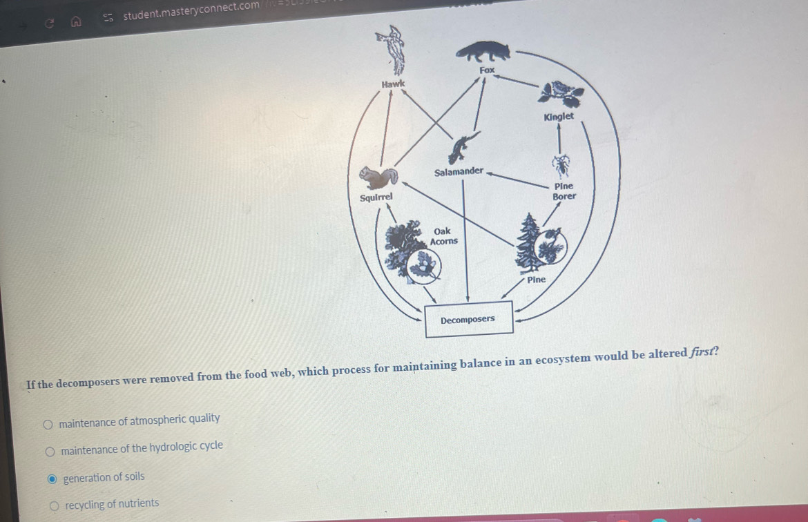 student.masteryconnect.com
If the decomposers were removed from the food web, which process for maintaining balance in an ecosystem woulde altered first?
maintenance of atmospheric quality
maintenance of the hydrologic cycle
generation of soils
recycling of nutrients