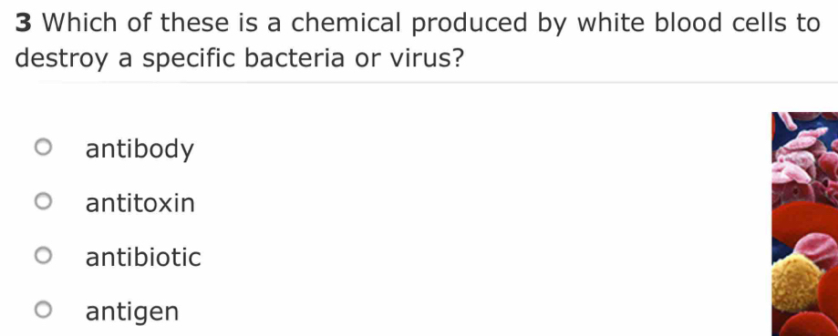 Which of these is a chemical produced by white blood cells to
destroy a specific bacteria or virus?
antibody
antitoxin
antibiotic
antigen