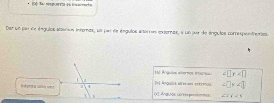 (b): Su respuesta es incorrecta.
Dar un par de ángulos alternos internos, un par de ángulos alternos externos, y un par de ángulos correspendientes.
(a) Ángules alteros internos: ∠ □ y∠ □
1 2
(b) Ángulos alternos externos ∠ □ y∠ □
Intente caa vez 3 4
6
(c) Angulos carrespandientes: ∠ 2 γ ∠ 6