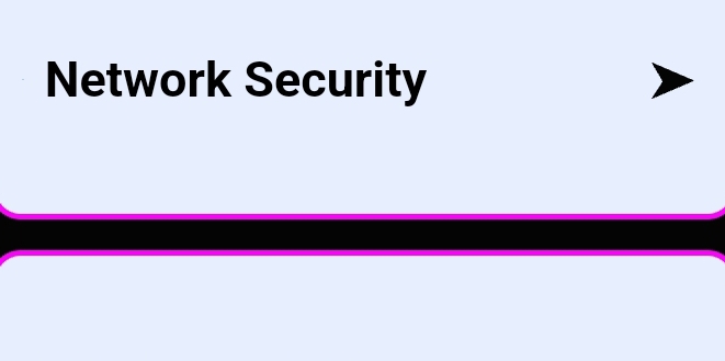 Network Security