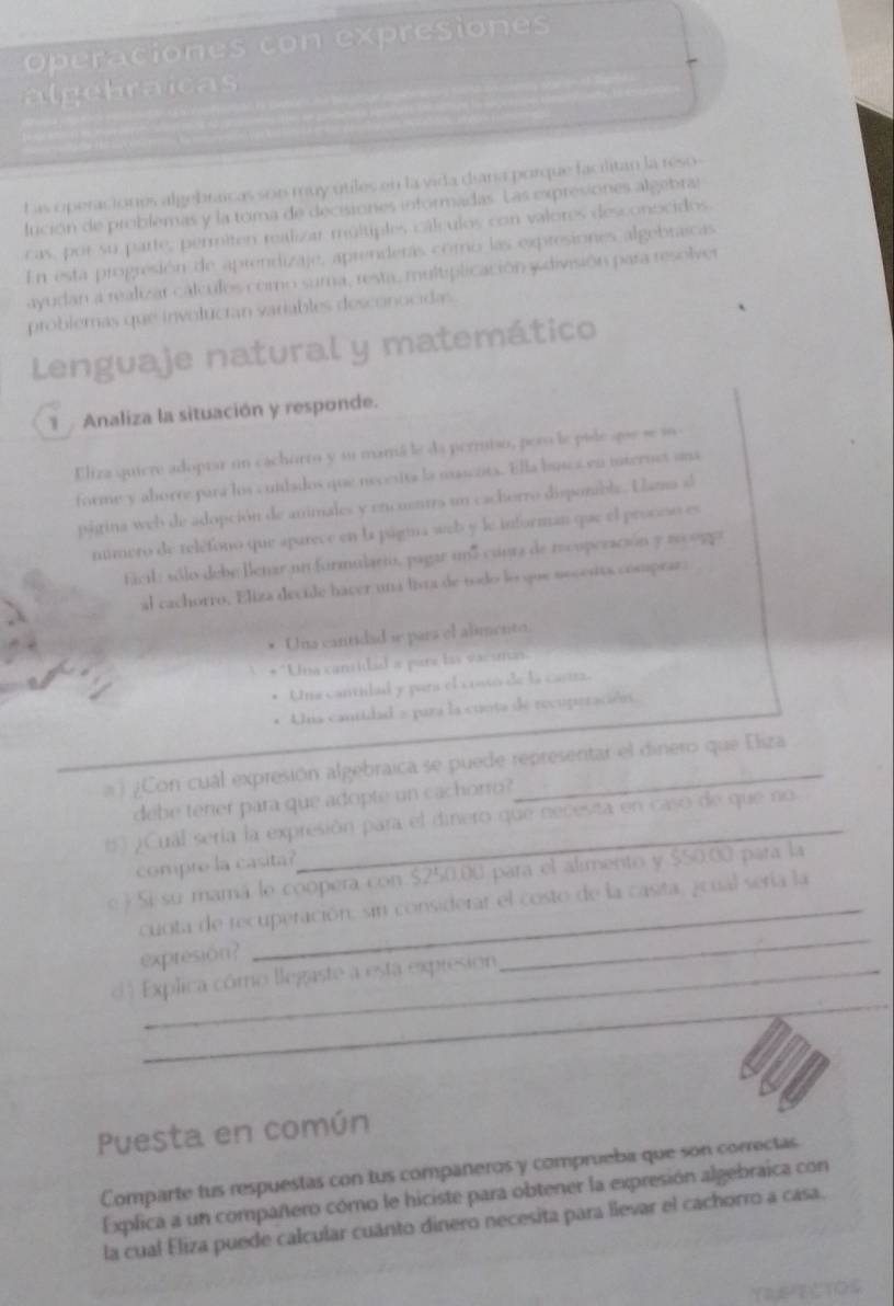 Operaciones con expresiones
algebraicas
Las operaciones algebraicas son muy utiles en la vida diana porque facilitan la reso-
fución de problemas y la toma de decisiones informadas. Las expresiones algebral
cas, por su parte, permiten realizar múltiples cálculos con valores desconocidos.
En está progresión de aprendizaje, aprenderas como las expresiones algebraicas
ayudan a realizar cálculos como suma, restac multiplicación y división para resolver
problemas que involucían variables desconocidas
Lenguaje natural y matemático
Analiza la situación y responde.
Eliza quiere adoptar un cachorto y su maná le da permiso, per le pile que se sn
forme y aborre pará los cuidados que necesita la mascots. Ella busca en internet ana
página web de adopción de animales y encuentra un cachorro disponible. Llama al
mimero de teléfono que aparece en la págmna web y le informan que el procoso es
ficil: sólo debe llenar un formulario, pagar un5 cunta de rcoperación y a0cop
al cachorro, Eliza decile hacer una lita de todo lo que nocesits compeaz:
Una cantidad ie para el alimento.
**Una cansidad a pare ly vacunas
Una cantilad y para el costó de la castza.
Una cantidad = para la cunta de recuperación
a ) ¿Con cuál expresión algebraica se puede representar el dinero que Eliza
debe tener para que adopte un cachorro?
E  9Cual sería la expresión para el dinero que necesta en caso de que no
compre la casita?
e  Si su mamá le coopera con $250,00 para el alimento y $50.00 para la
cuota de recuperación, sin considerar el costo de la casita, joual sería la
expresion?
_
d 4 Explica cômo llegaste a esta expresión
_
Puesta en común
Comparte tus respuestas con tus companeros y comprueba que son correctas
Explica a un compañero como le hiciste para obtener la expresión algebraica con
la cual Eliza puede calcular cuánto dinero necesita para llevar el cachorro a casa.
YRE-ECTOS