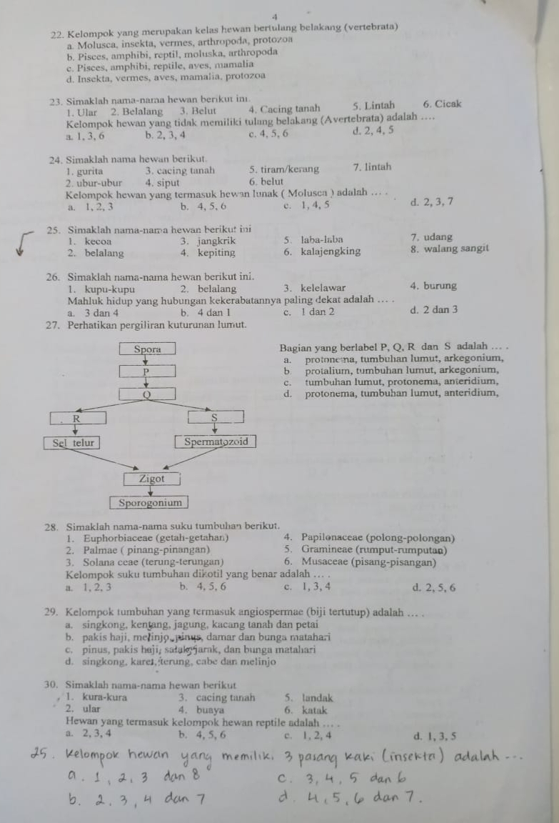 4
22. Kelompok yang merupakan kelas hewan bertulang belakang (vertebrata)
a. Molusca, insekta, vermes, arthropoda, protozoa
b. Pisces, amphibi, reptil, moluska, arthropoda
c. Pisces, amphibi, reptile, ayes, mamalia
d. Insekta, vermes, aves, mamalia. protozoa
23. Simaklah nama-nama hewan berikut in.
1. Ular 2. Belalang 3. Belut 4. Cacing tanah 5. Lintah 6. Cicak
Kelompok hewan yang tidak memiliki tulang belakang (Avertebrata) adalah ...
a 1, 3, 6 b. 2, 3, 4 c. 4, 5, 6 d. 2, 4, 5
24. Simaklah nama hewan berikut.
1. gurita 3. cacing tanah 5. tiram/kerang 7. lintah
2. ubur-ubur 4. siput 6. belut
Kelompok hewan yang termasuk hewan lunak ( Molusca ) adalah . . .
a. 1, 2, 3 b. 4, 5, 6 c. 1, 4, 5 d. 2, 3,7
25. Simaklah nama-nama hewan berikut ini
1. kecoa 3. jangkrik 5. laba-laba 7. udang
2. belalang 4. kepiting 6. kalajengking 8. walang sangit
26. Simaklah nama-nama hewan berikut ini.
1. kupu-kupu 2. belalang 3. kelelawar 4. burung
Mahluk hidup yang hubungan kekerabatannya paling dekat adalah . .
a. 3 dan 4 b. 4 dan 1 c. 1 dan 2 d. 2 dan 3
27. Perhatikan pergiliran kuturunan lumut.
Bagian yang berlabel P, Q, R dan S adalah … .
a. protonema, tumbuhan lumut, arkegonium,
b protalium, tumbuhan lumut, arkegonium,
c. tumbuhan lumut, protonema, anteridium,
d. protonema, tumbuhan lumut, anteridium,
28. Simaklah nama-nama suku tumbuhan berikut.
1. Euphorbiaceae (getah-getahan) 4. Papilonaceae (polong-polongan)
2. Palmae ( pinang-pinangan) 5. Gramineae (rumput-rumputan)
3. Solana ceae (terung-terungan) 6. Musaceae (pisang-pisangan)
Kelompok suku tumbuhan dikotil yang benar adalah . .
a. 1,2, 3 b. 4, 5, 6 c. 1, 3, 4 d. 2, 5, 6
29. Kelompok tumbuhan yang termasuk angiospermae (biji tertutup) adalah … .
a. singkong, kentang, jagung, kacang tanah dan petai
b. pakis haji, me injo, pinus, damar dan bunga matahari
c. pinus, pakis haji, satak jarak, dan bunga matahari
d. singkong, kare1,  terung, cabe dan melinjo
30. Simaklah nama-nama hewan berikut
1. kura-kura 3. cacing tanah 5. landak
2. ular 4. busya 6. katak
Hewan yang termasuk kelompok hewan reptile adalah .. .
a. 2, 3, 4 b. 4, 5, 6 c. 1, 2, 4 d. 1,3, 5