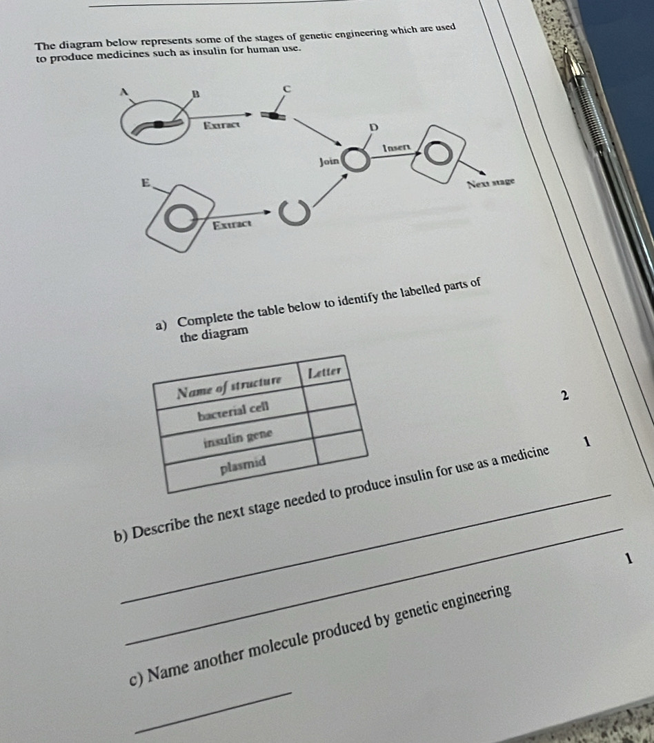 The diagram below represents some of the stages of genetic engineering which are used 
to produce medicines such as insulin for human use. 
a) Complete the table below to identify the labelled parts of 
the diagram 
2 
_ 
b) Describe the next stage neinsulin for use as a medicine 1 
1 
_ 
c) Name another molecule produced by genetic engineering