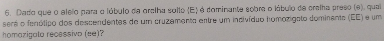 Dado que o alelo para o lóbulo da orelha solto (E) é dominante sobre o lóbulo da orelha preso (e), qual 
será o fenótipo dos descendentes de um cruzamento entre um indivíduo homozigoto dominante (EE) e um 
homozigoto recessivo (ee)?